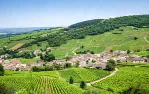 Week-ends Routes des Vins : 2j/1n en hébergement insolite, Bordelais, Bourgogne, Alsace...
